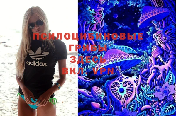 стафф Гусь-Хрустальный