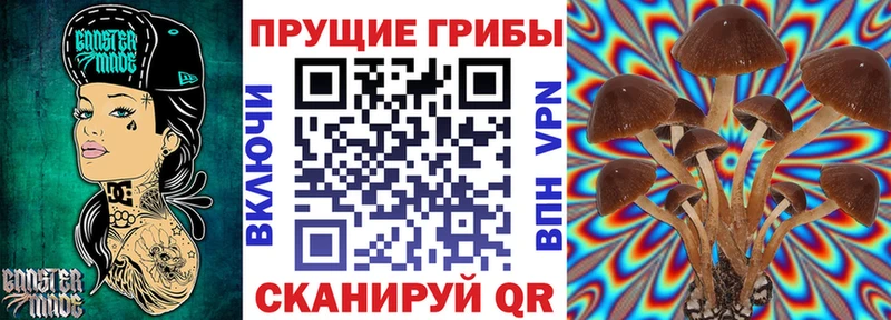 Псилоцибиновые грибы прущие грибы даркнет сайт Новая Ладога
